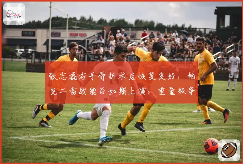 张志磊右手骨折术后恢复良好，帕克二番战能否如期上演，重量级争霸再添变数？